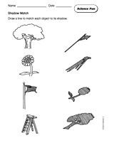 Science Fun: Shadow Match