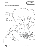Explore Activity: Living Things I Saw
